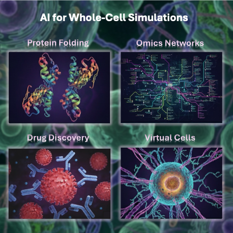 ai4cell